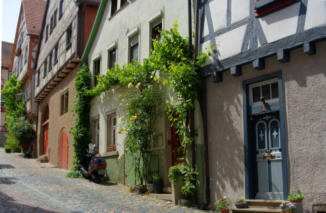 Haus